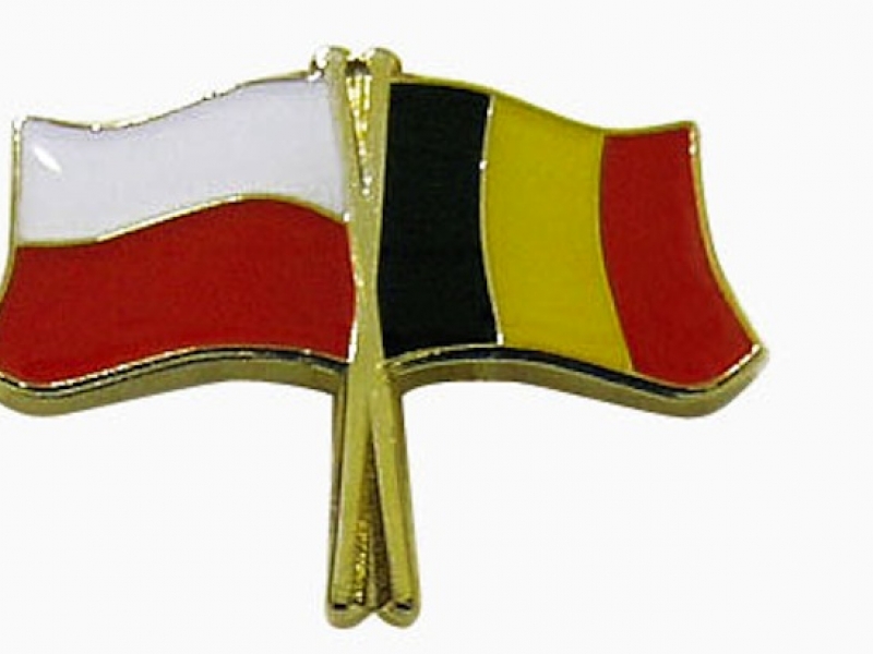 Poolse onderscheiding